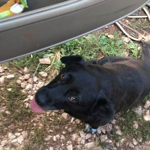 Meet your Posher, Dylan